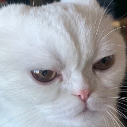 Fudge Nuggets profile photo