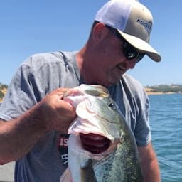 Jim Gaba profile photo